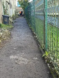 Belleview Avenue lane after clean-up, view 2