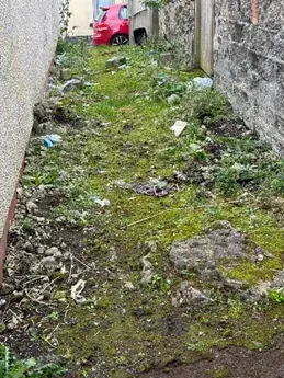 Belleview Avenue lane before clean-up, view 1