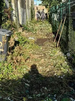 Belleview Avenue lane before clean-up, view 2