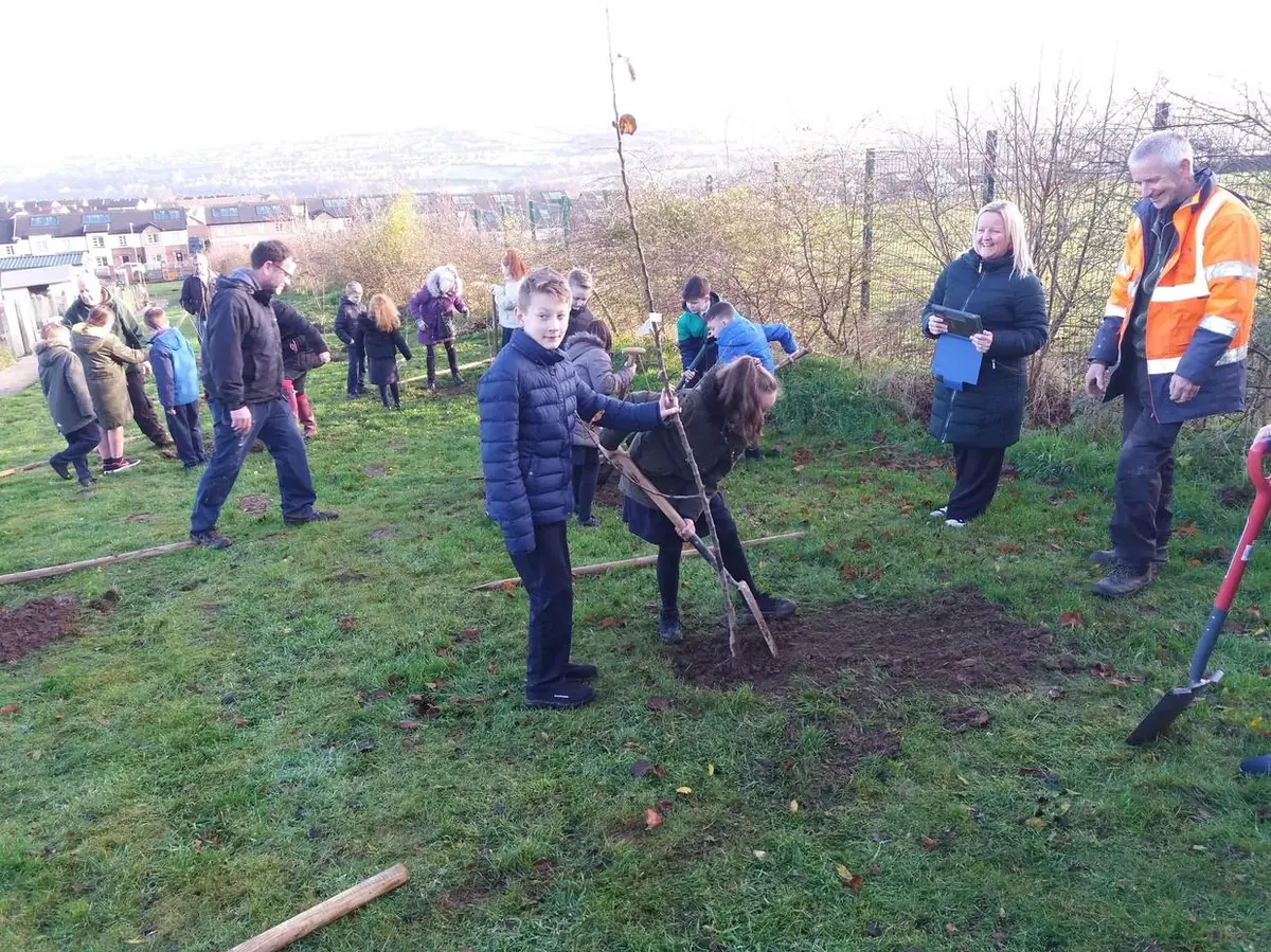 Orchard planting